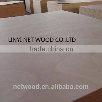 Linyi 3mm Okoume Plywood Factory photo-3