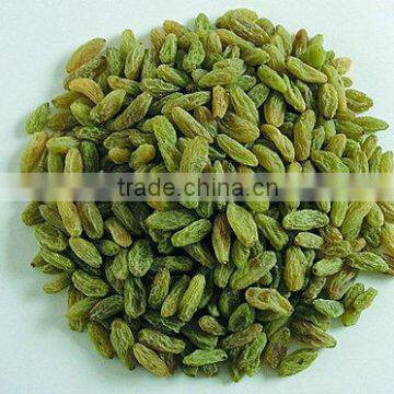 Dried Raisin, Organic Raisin, Red/Green