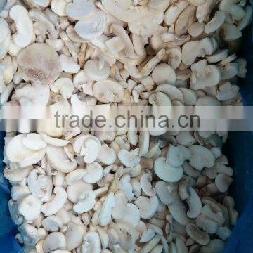 Frozen Mushroom photo-5