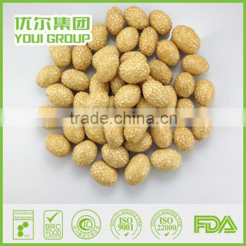 Wholesale Dry Peanuts Bulk Package Sesame Coated Peanuts