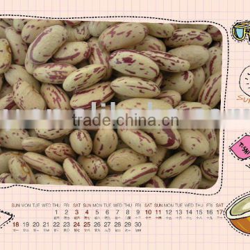 Light Speckled Kidney Beans Long Shape (Heilongjiang)