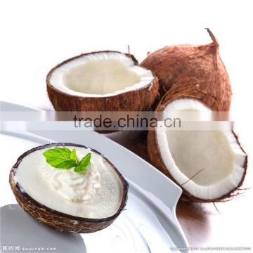 Instant Coconut Cream Powder