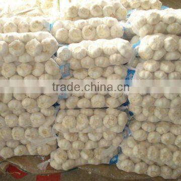 garlic white price 1kg packed