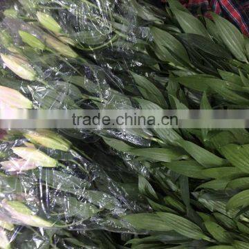 Fresh Cut Flowers Lily Flowers photo-2