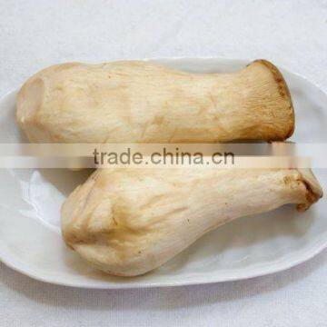 Hot Sale Pleurotus Eryngii
