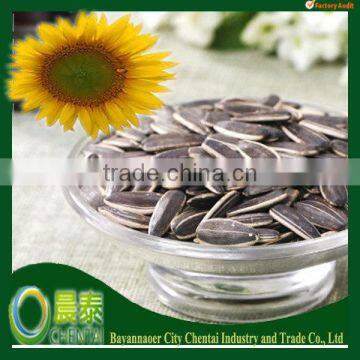 Wholesale Good Quality American Tpye Roasted Sunflower Seeds kernel