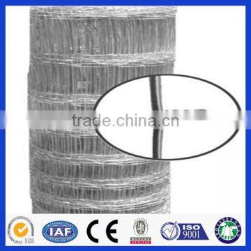 High quality hot dip galvanized goat mesh fencing (Deming factory, ISO900 certificate)