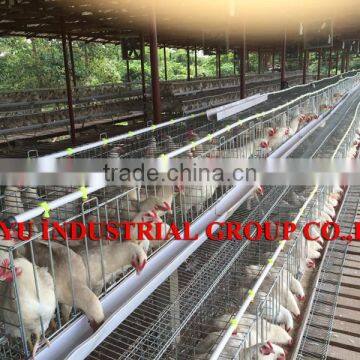 TAIYU Latest And Modern Chicken Broiler Farm House