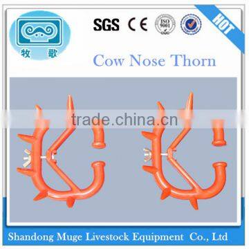 Cow Nose Thorn for Calf Ablactation