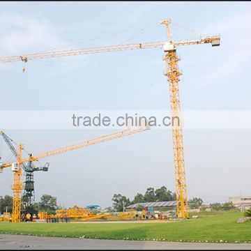 CS hammer-head crane