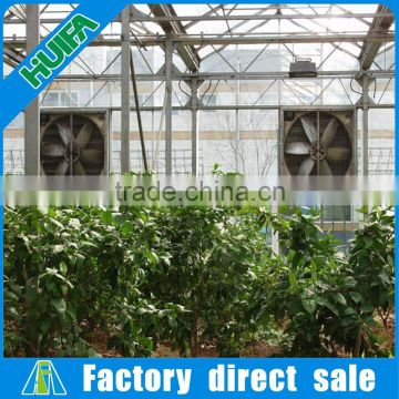 6 blades stainless steel fans greenhouse venting system