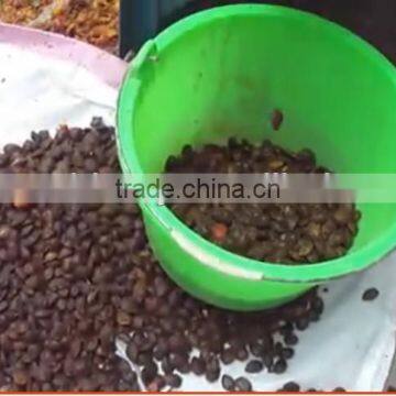 Save strength machine for peeling apricot