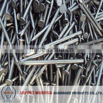 Wanhua--Common Iron Nail Manufacturer