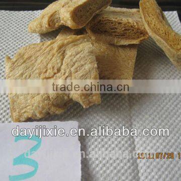 Textured Vegetarian Soya Protein Processing Line From Jinan Dayi photo-2