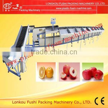 Hot selling apple sorting machine