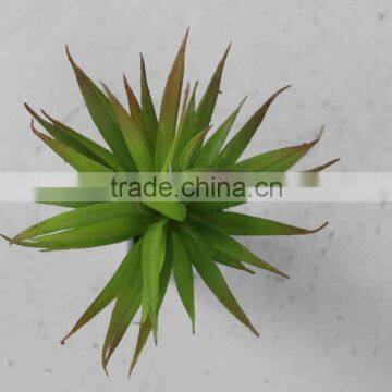 SJ300929 Artificial Plants Small Plant Aloe for Wall Decoration photo-2