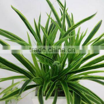 Artificial White Edge Spider Plant Hanging Spider Plant photo-3