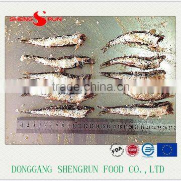 Hot Sales Frozen Salted Anchovy Fish photo-2
