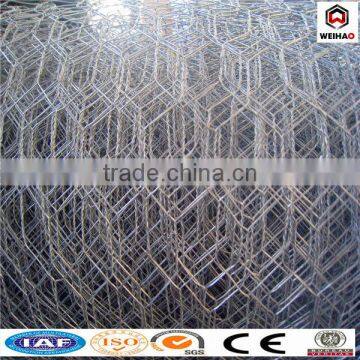 PVC and GI Hexagonal Wire Mesh photo-2