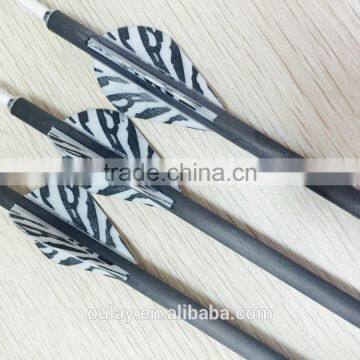 31inch Rolled Carbon Fiber Arrows Without Points photo-6