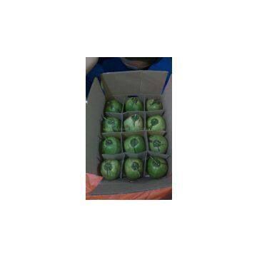 Sell Fresh Young Diamond Coconut photo-3