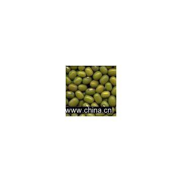 Sell Mung Bean