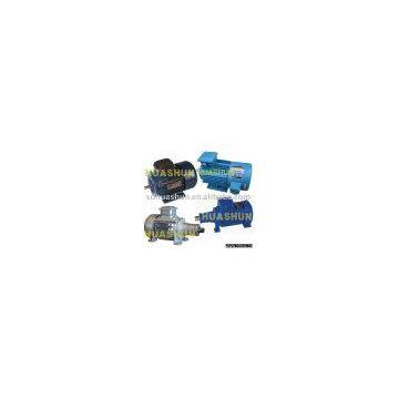 HUASHUN Variable speed motor