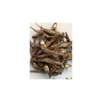 DRIED SMALL ANCHOVY
