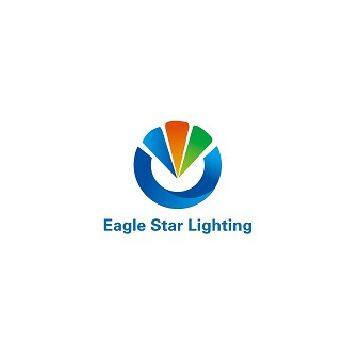 Shenzhen Eagle star lighting technology Co., Ltd