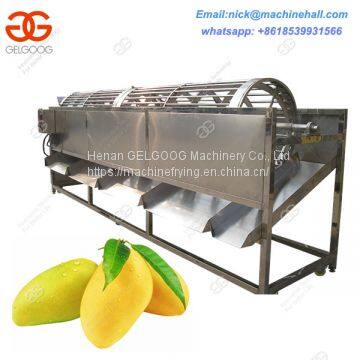 Hot Sale Mangoes Sorting Machine/Stainless Steel Mango Sorting Machine/Automatic Mango Sorting Machine photo-3