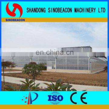 Top Quality China Single Span Polyethylene Film Greenhouse Manufacturer