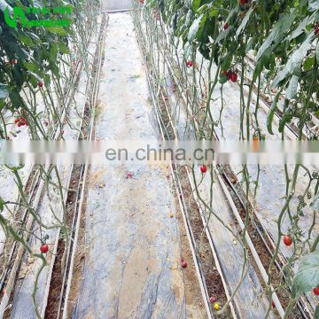 2019 High Quality Hot Selling Hydroponic Tube