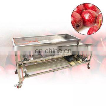 Cherry Tomato Washing Grading Machine/Fruit and Vegetable Processing Machine/strawberry Sorting Machine photo-2