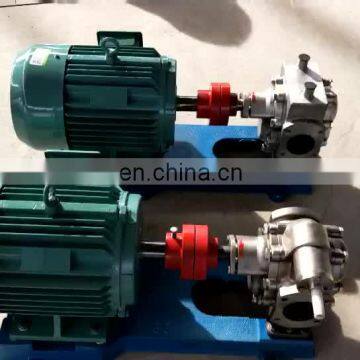 High quality KCB300 stainless steel food oil/Chemical oil gear pump