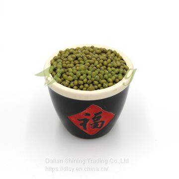 New Crop Export Specification Green Mung Beans