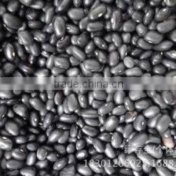 black kidney bean