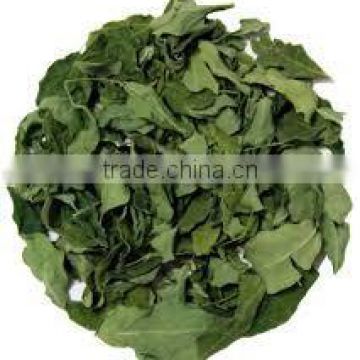 Dried Moringa leaves for Bulk Export