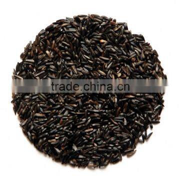 Niger Seeds photo-3