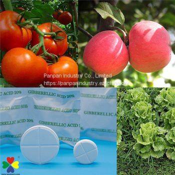 Agrochemical Product Ga3 10%tb Ga3 White Tablet Cas 77-06-5 With Competitive Price photo-2