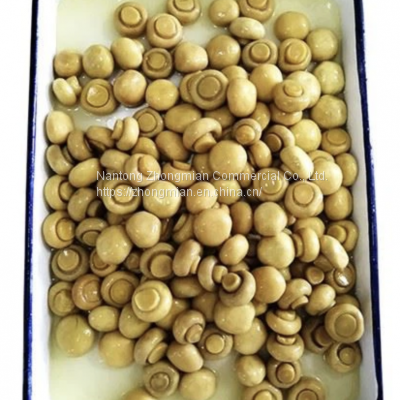 Whole Mushroom Slice Mushroom in Brine or in SO2 in Drum SETA Preservada en Tambor photo-3