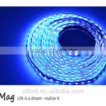 High Quality SMD5050 DC12V DC24V Led Flexible Strip Light photo-4