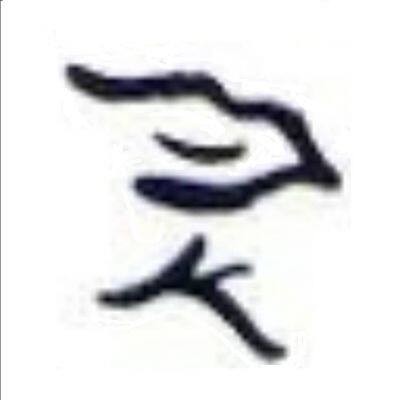 Liaoning Weisheng Technology Co., Ltd.