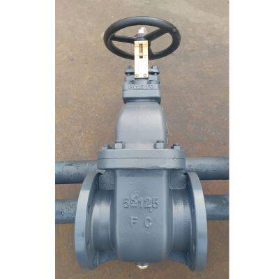 JIS Marine Non-rising Gate Valve With SS316 Stem Option for Saltwater Corrosion Resistance photo-3