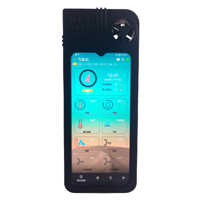 TRM-GPS6 Portable Handheld Sensor for Weather Station Handheld Monitor System