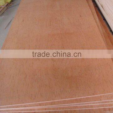 18mm bintangor plywood ordianry plywood