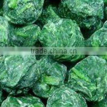 IQF Spinach Balls with high quality