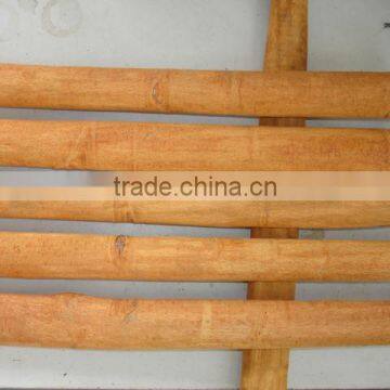 Vietnam Cassia
