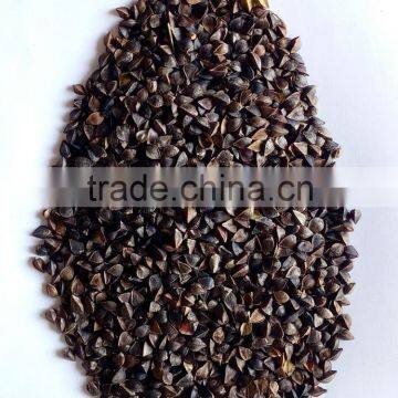 high quality buckwheat with best price