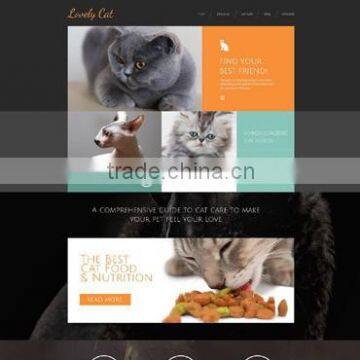 Website Design photo-4