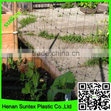100% New Material PE Plastic Tomato Climbing Net Add UV Additives